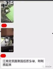 梅州最新爆料事件视频播放,视频揭露惊人真相，网友热议不断！  第3张