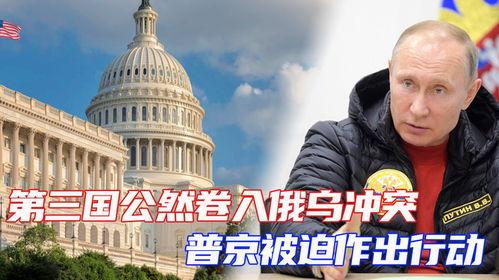 爆料俄乌冲突最新动态,战局突变，国际局势再掀波澜  第3张